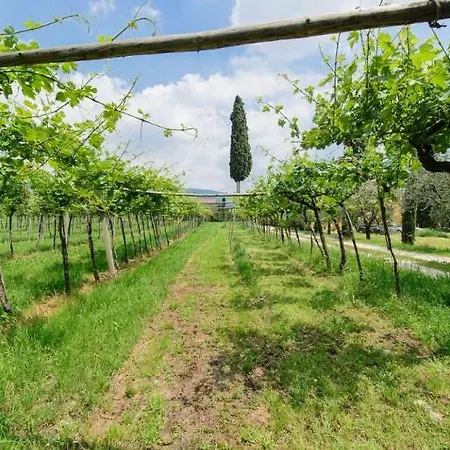 컨트리하우스 Fogolar Della Valpolicella *